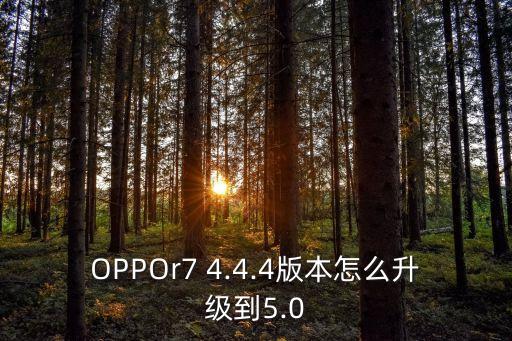 OPPOr7 4.4.4版本怎么升級(jí)到5.0