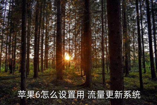 蘋果6自動(dòng)校正流量軟件,蘋果6用流量更新系統(tǒng)步驟