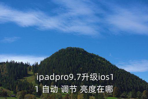  ipadpro9.7升級ios11 自動 調節(jié) 亮度在哪