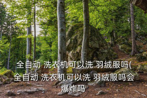 波輪全自動洗衣機(jī)可以洗羽絨服嗎,關(guān)于洗衣機(jī)和洗衣服的五件事