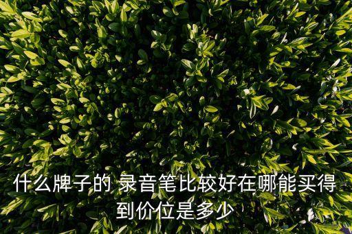 什么牌子的 錄音筆比較好在哪能買(mǎi)得到價(jià)位是多少