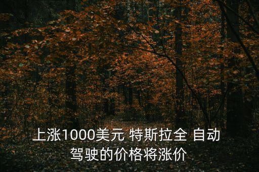 上漲1000美元 特斯拉全 自動(dòng) 駕駛的價(jià)格將漲價(jià)