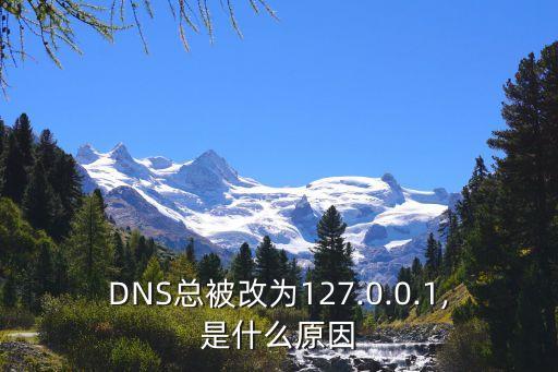 為什么dns被自動修改,路由器dns遭修改目前無法訪問服務(wù)