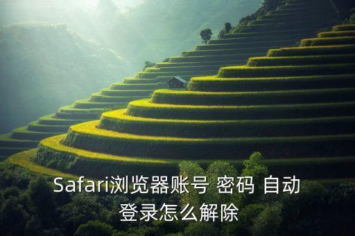 蘋果密碼10自動登錄,蘋果手機密碼忘記怎么開鎖了?