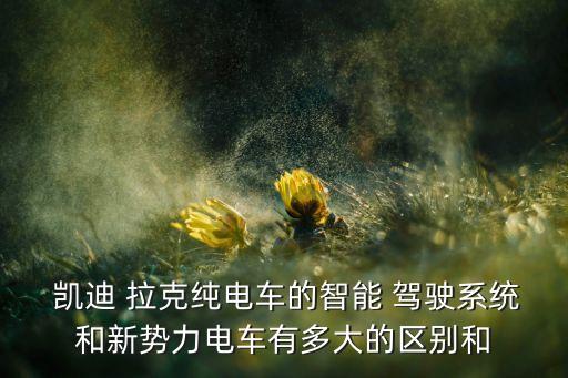 凱迪拉克自動(dòng)駕駛技術(shù),凱迪拉克如何啟動(dòng)加速巡航系統(tǒng)