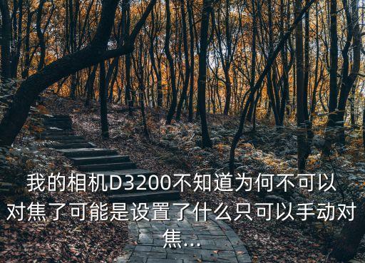我的相機(jī)D3200不知道為何不可以對(duì)焦了可能是設(shè)置了什么只可以手動(dòng)對(duì)焦...