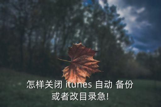 怎樣關(guān)閉 itunes 自動(dòng) 備份或者改目錄急!