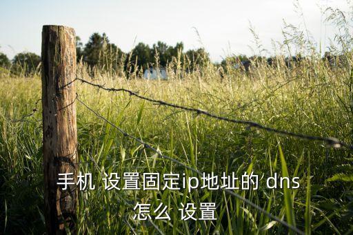  手機 設置固定ip地址的 dns怎么 設置
