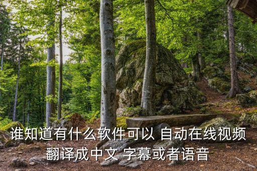 誰知道有什么軟件可以 自動(dòng)在線視頻翻譯成中文 字幕或者語音