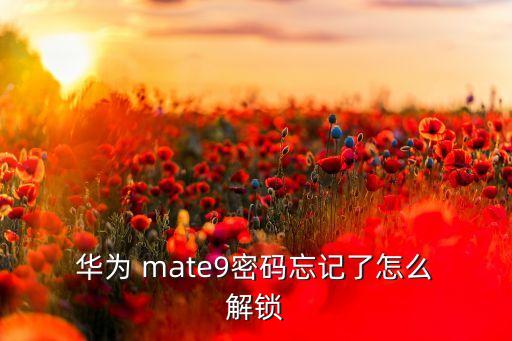  華為 mate9密碼忘記了怎么 解鎖