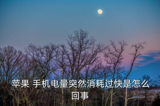 蘋果手機(jī)自動放電,蘋果手機(jī)停電一般有兩種原因