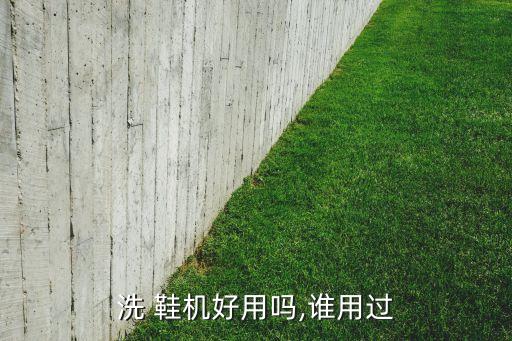 家庭自動洗鞋機,洗衣機和洗鞋機不同之處在于功能有別