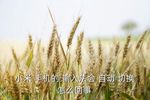 小米 手機的 輸入法會 自動 切換怎么回事