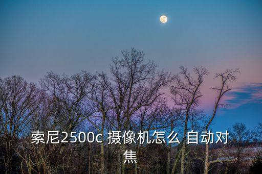 索尼2500c 攝像機(jī)怎么 自動(dòng)對(duì)焦