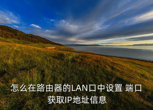 怎么在路由器的LAN口中設(shè)置 端口 獲取IP地址信息