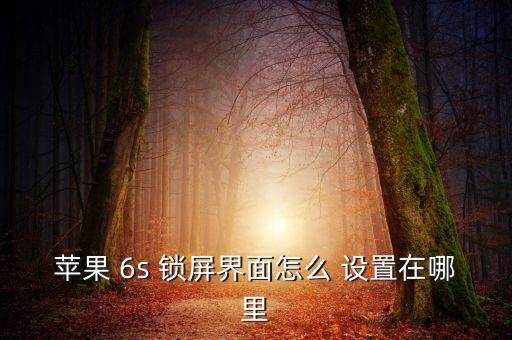 蘋果 6s 鎖屏界面怎么 設(shè)置在哪里