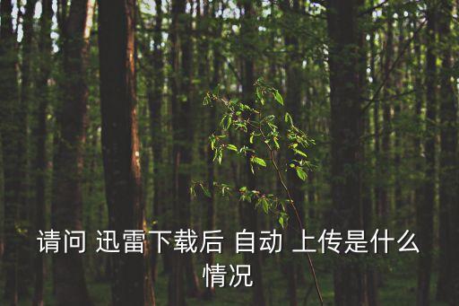 迅雷后臺自動上傳,親愛的快速用戶:為什么不上傳?
