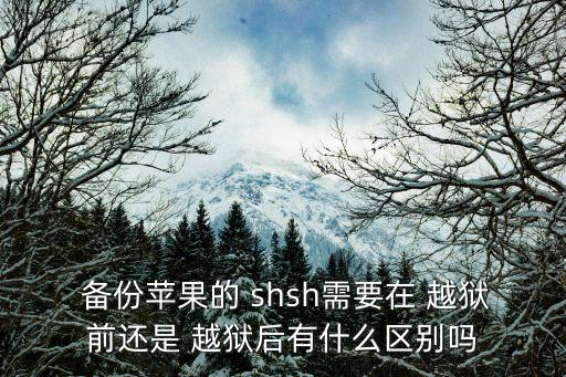 越獄后自動備份shsh,越獄和shsh備份有何不同?
