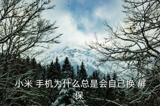  小米 手機為什么總是會自己換 屏保