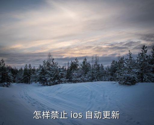ios不讓自動升級,蘋果手機(jī)設(shè)置使軟件不自動更新