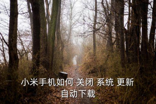 小米6系統(tǒng)自動(dòng)更新關(guān)閉不了怎么辦,怎么關(guān)閉小米手機(jī)?
