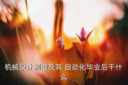 自動(dòng)化之后,選擇自己擅長的領(lǐng)域或與自己有關(guān)