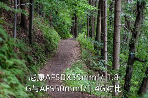 尼康A(chǔ)FSDX35mmf/ 1.8G與AFS50mmf/1.4G對比