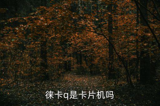 徠卡q是卡片機(jī)嗎