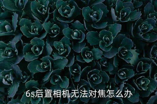 6s自動對焦框,手機自動對焦功能介紹一下!
