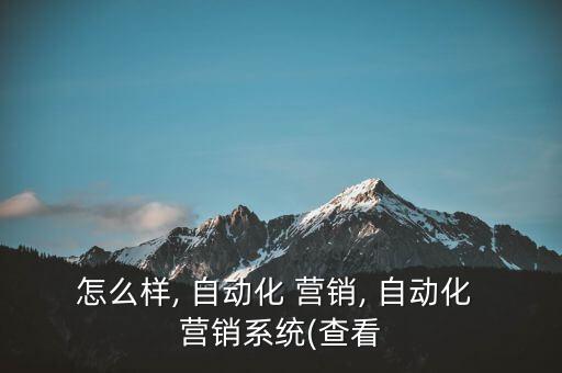 怎么樣, 自動化 營銷, 自動化 營銷系統(tǒng)(查看
