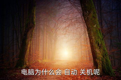 電腦為什么會 自動 關(guān)機呢