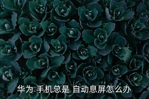 華為 手機(jī)總是 自動(dòng)息屏怎么辦