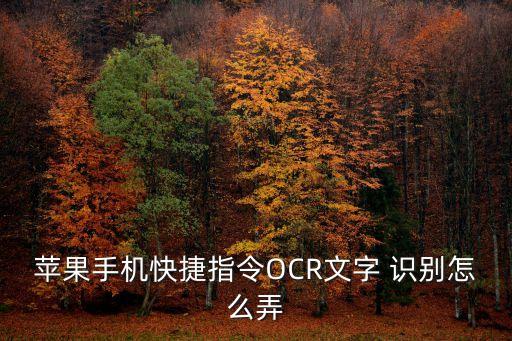 蘋果手機(jī)快捷指令OCR文字 識別怎么弄
