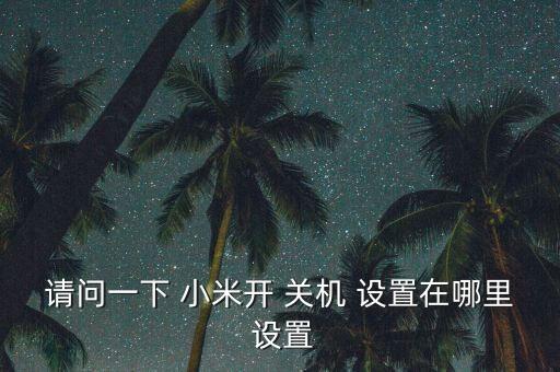 請(qǐng)問(wèn)一下 小米開(kāi) 關(guān)機(jī) 設(shè)置在哪里 設(shè)置