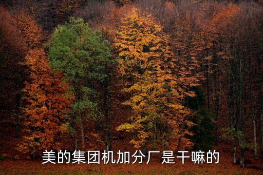 美的有自動化部工廠嗎,美的一代工廠在哪里都有生產(chǎn)各地都有