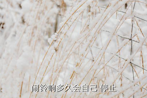 鬧鈴響多久會(huì)自己 停止