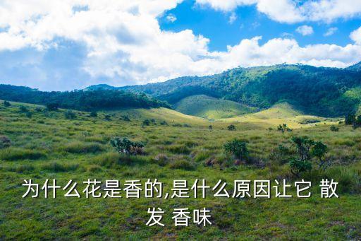 為什么花是香的,是什么原因讓它 散發(fā) 香味