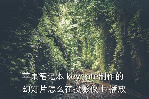 蘋果筆記本 keynote制作的 幻燈片怎么在投影儀上 播放