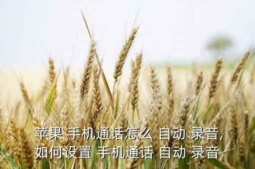 蘋果手機(jī)自動(dòng)錄音功能,手機(jī)建立通話-2錄音-4/步驟如下