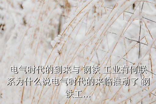 電氣時(shí)代的到來(lái)與 鋼鐵 工業(yè)有何聯(lián)系為什么說(shuō)電氣時(shí)代的來(lái)臨推動(dòng)了 鋼鐵工...
