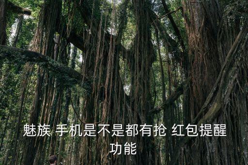  魅族 手機(jī)是不是都有搶 紅包提醒功能