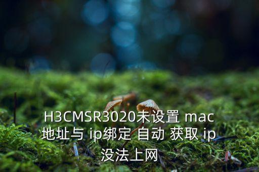 mac 自動獲取ip,通過網(wǎng)由不能屏蔽端口但可做一些限制