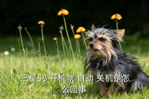  三星S8 開機就 自動 關(guān)機是怎么回事