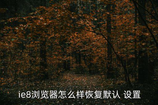 ie8自動升級設置,怎么恢復ie8默認設置?步驟如下
