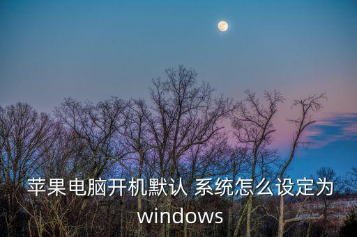  蘋果電腦開機默認 系統(tǒng)怎么設定為 windows