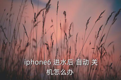  iphone6 進(jìn)水后 自動 關(guān)機(jī)怎么辦