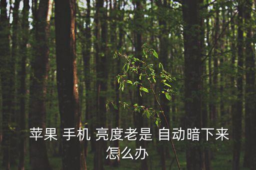  蘋果 手機 亮度老是 自動暗下來怎么辦