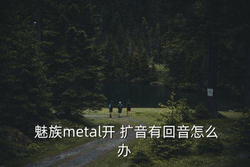  魅族metal開 擴音有回音怎么辦