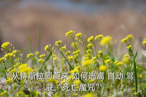 自動(dòng)駕駛死人了,駕駛時(shí)盡量減少自動(dòng)駕駛的數(shù)量