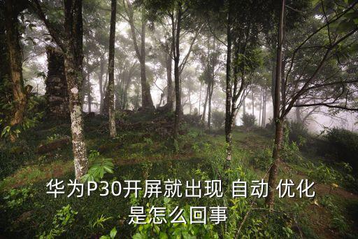  華為P30開屏就出現(xiàn) 自動(dòng) 優(yōu)化是怎么回事